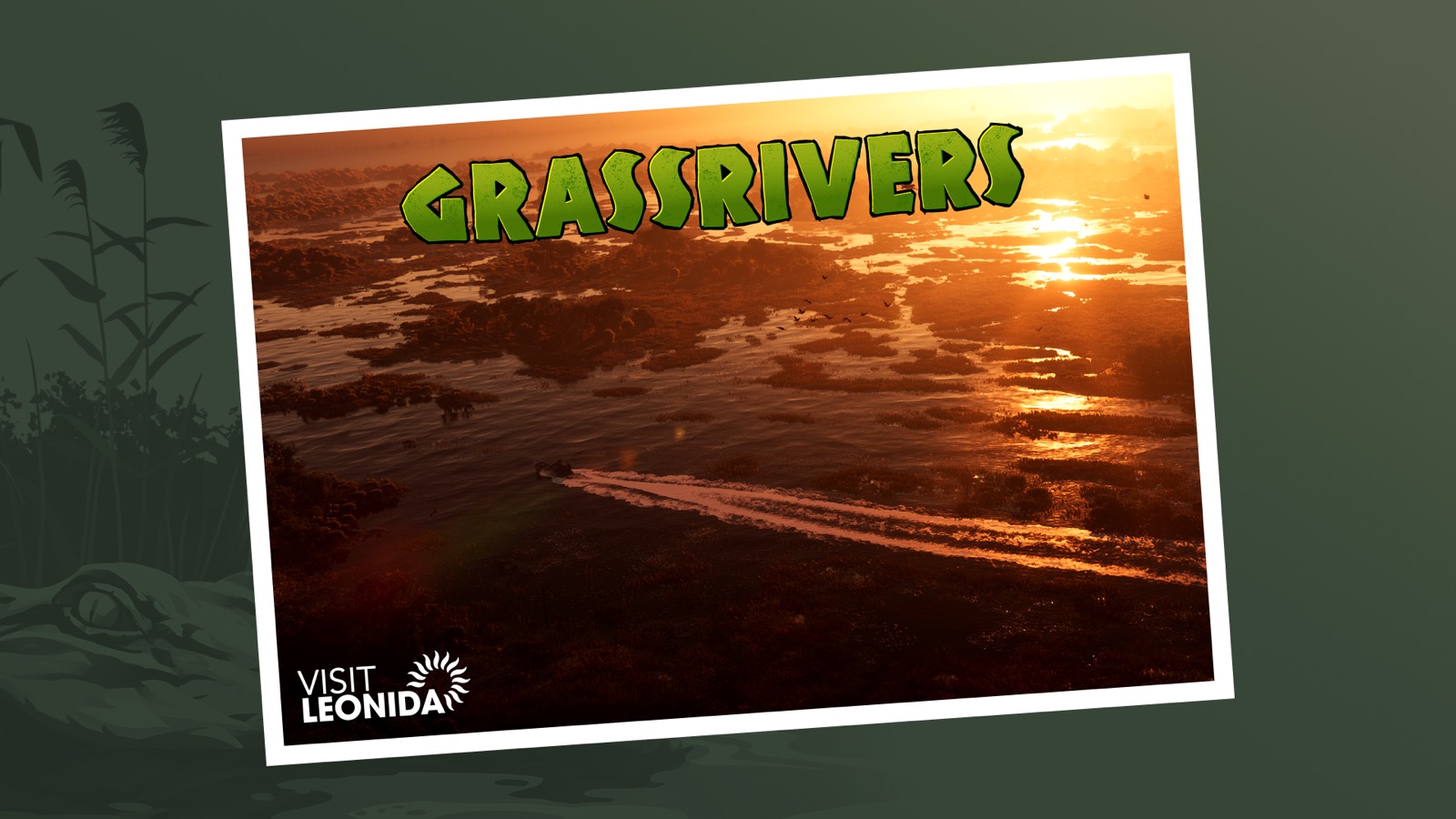 Postcard: Grassrivers
